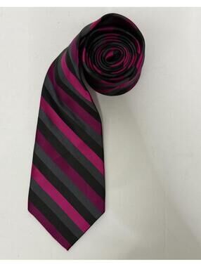 Express Men’s Diagonal Striped Tie
